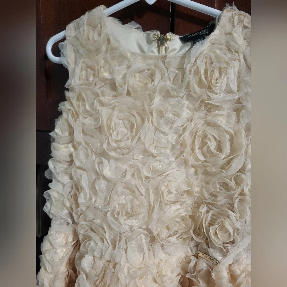 Flower Girl Dress, Roses Gold , PartyDres size 8 - Picture 6 of 14
